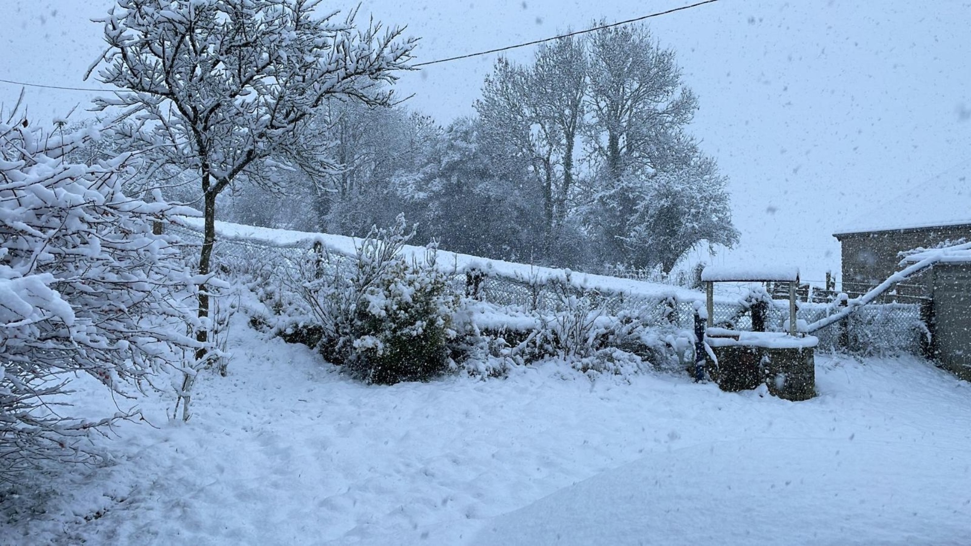 Campagne près de Caen (Calvados), ce 5 janvier au matin - © Province Courses