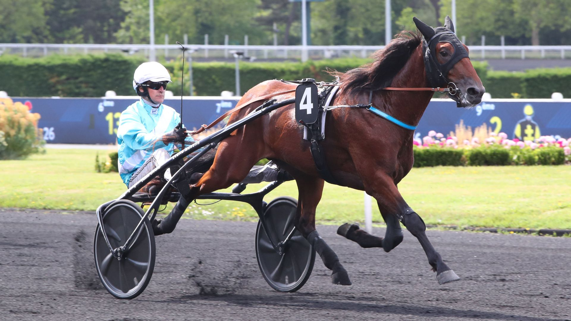 Nelson de Chanlecy - ©Aprh