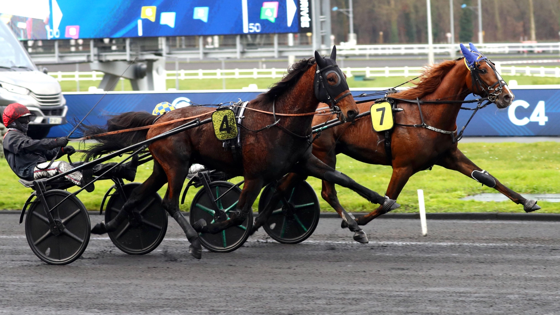 Nemrod Burois (7) contient Nocturnus Avis (4) - © ScoopDyga