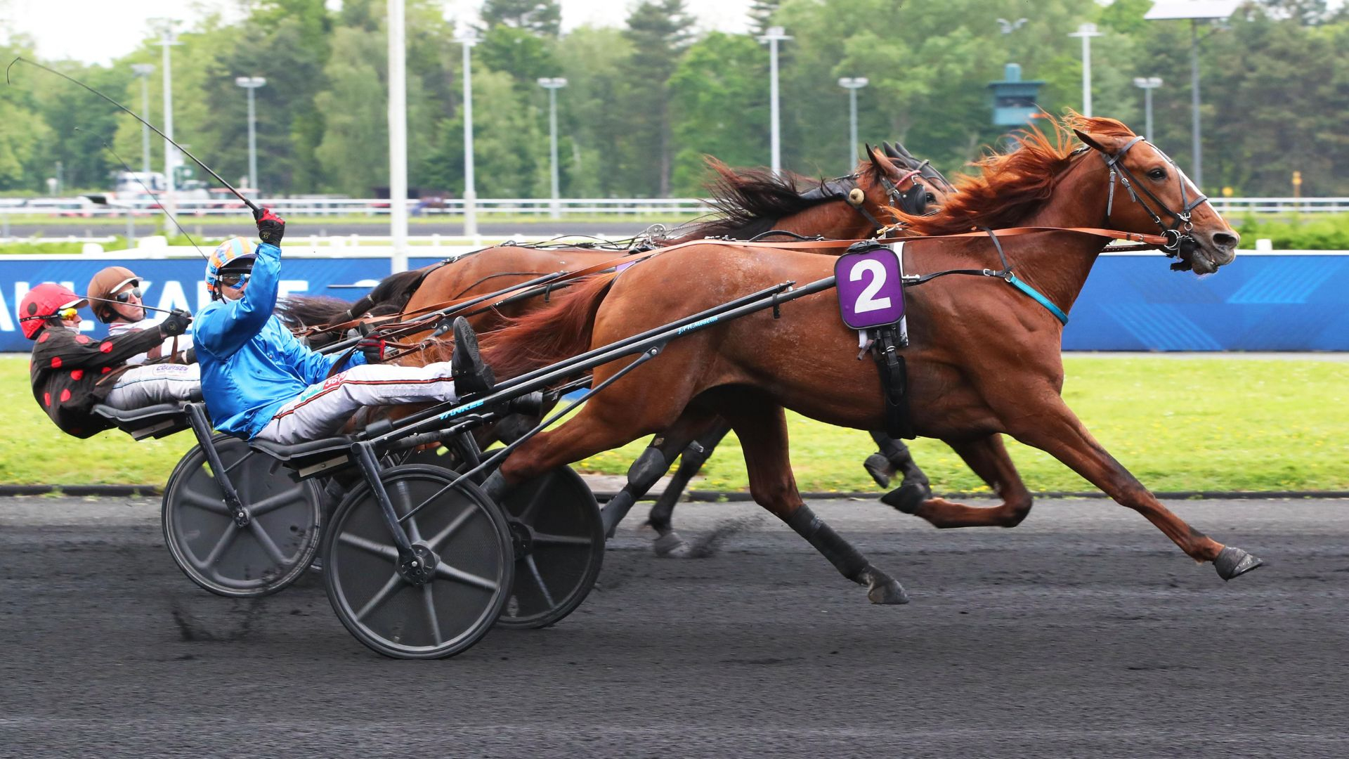 Neo de Joudes - ©Scoopdyga