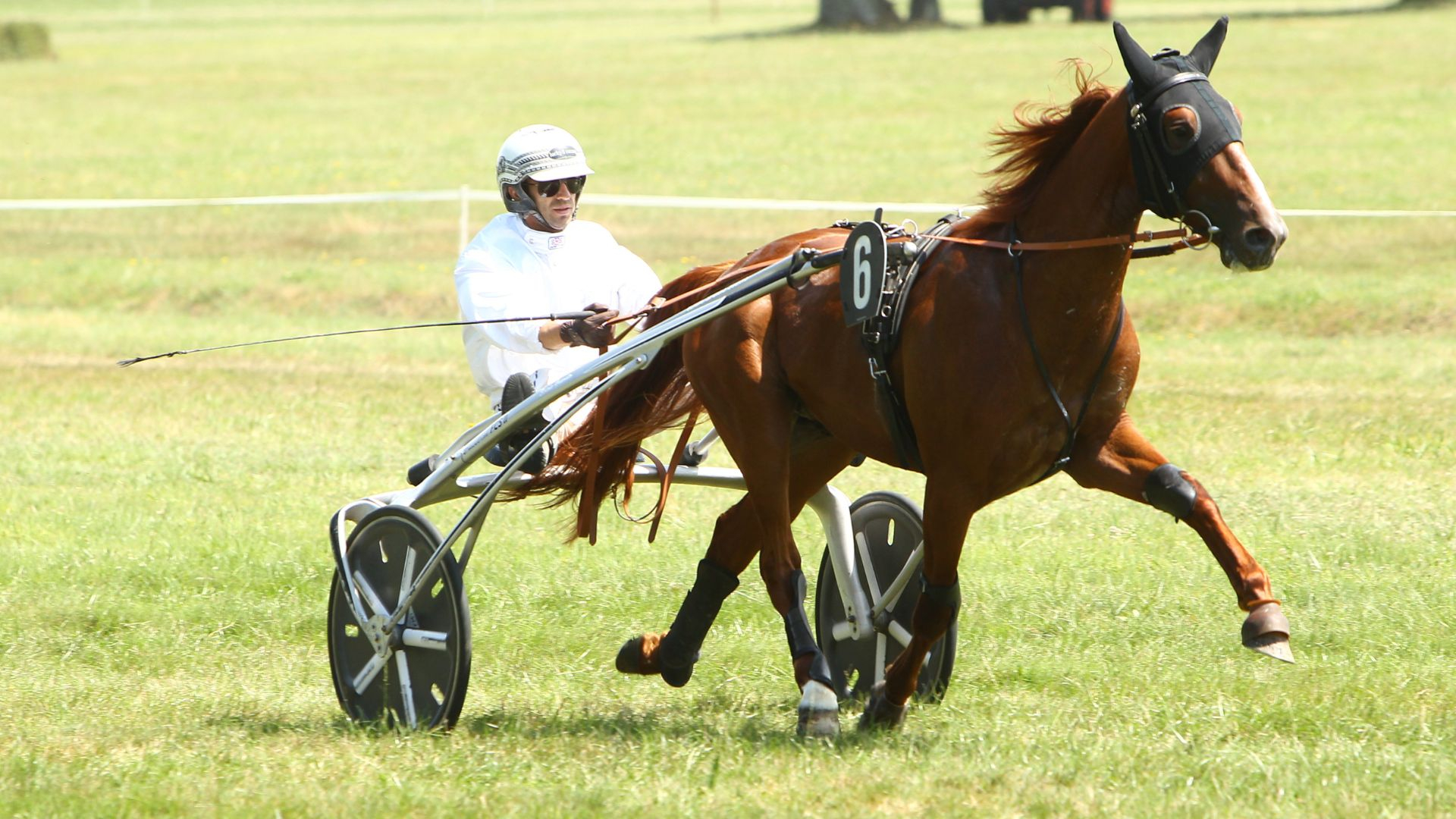 New Success dimanche dernier à La Ferté-Vidame - ©Frédéric Vernichon