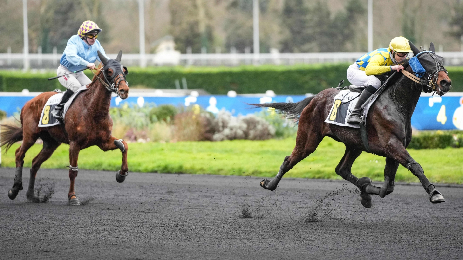 La large domination de Newcash de Phyt's - © ScoopDyga