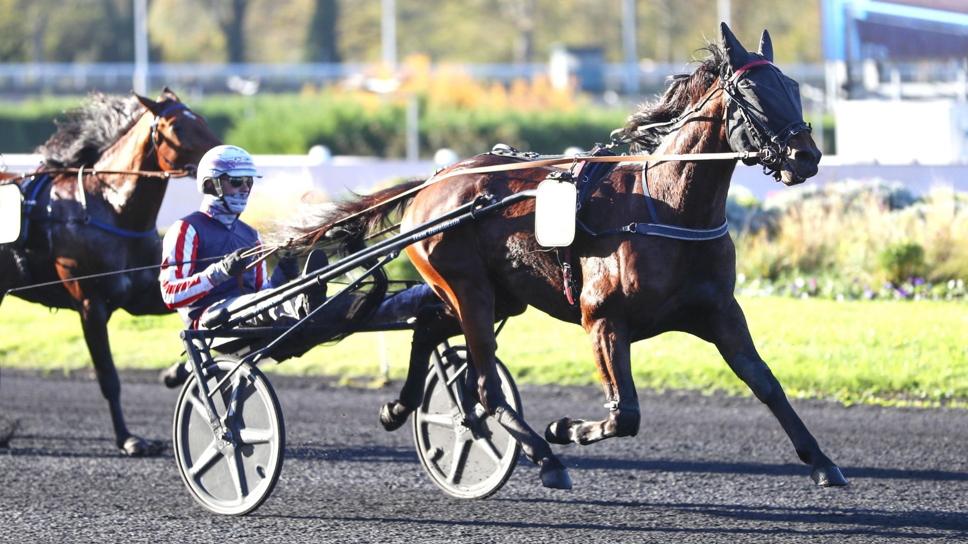 New Dollar fait belle impression - © ScoopDyga