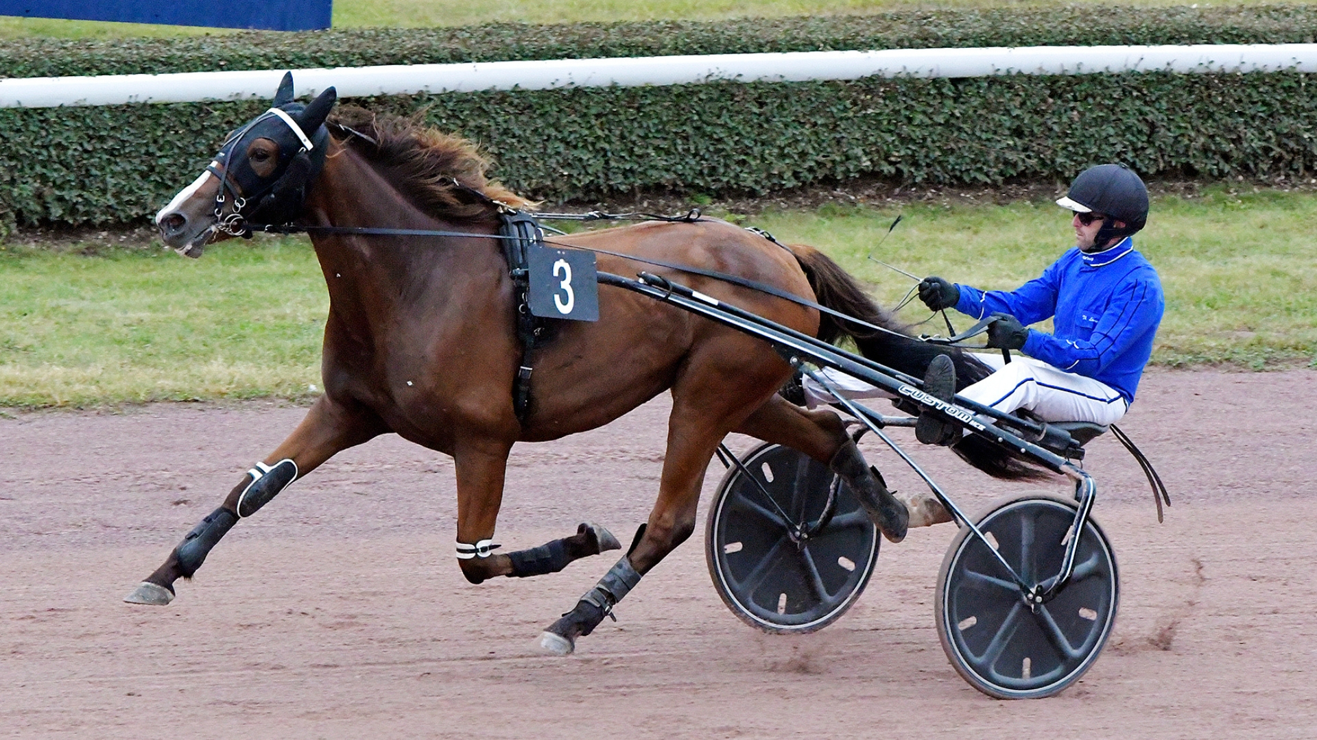 New Grass lors de sa qualification à Caen - ©Mark Kendell