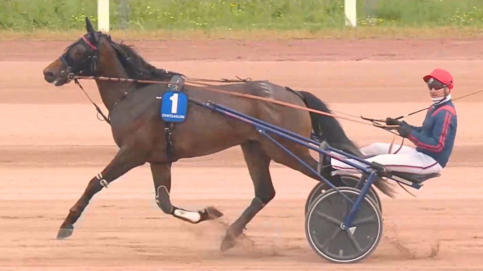 New Roger après sa victoire du jour - © Equidia