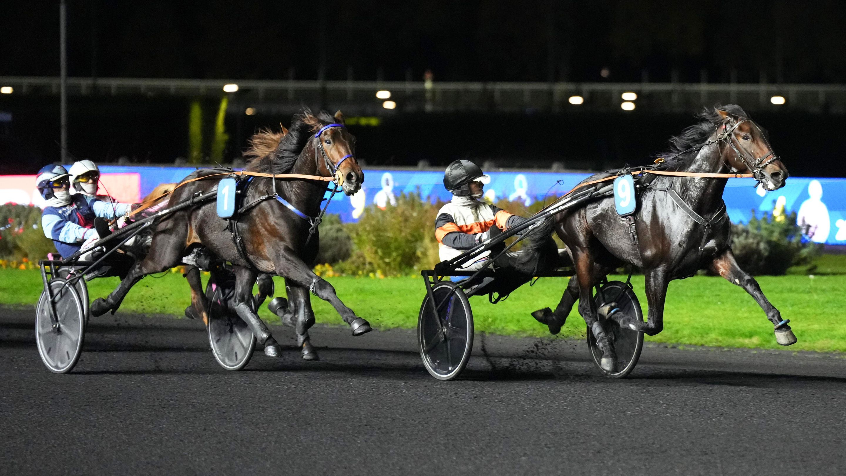 Newton de Cors - Net Money