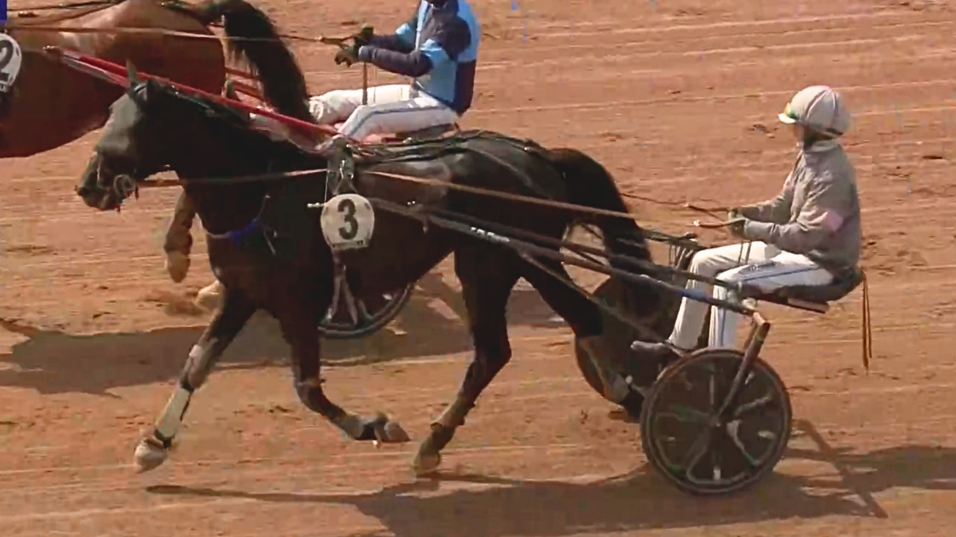 Newton des Forges après son succès du jour - © Equidia