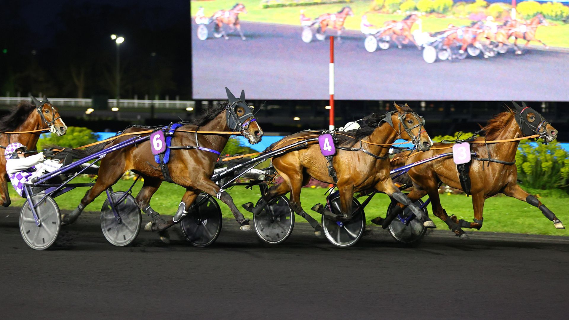 Nice Speed, côté corde, résiste - ©Scoopdyga