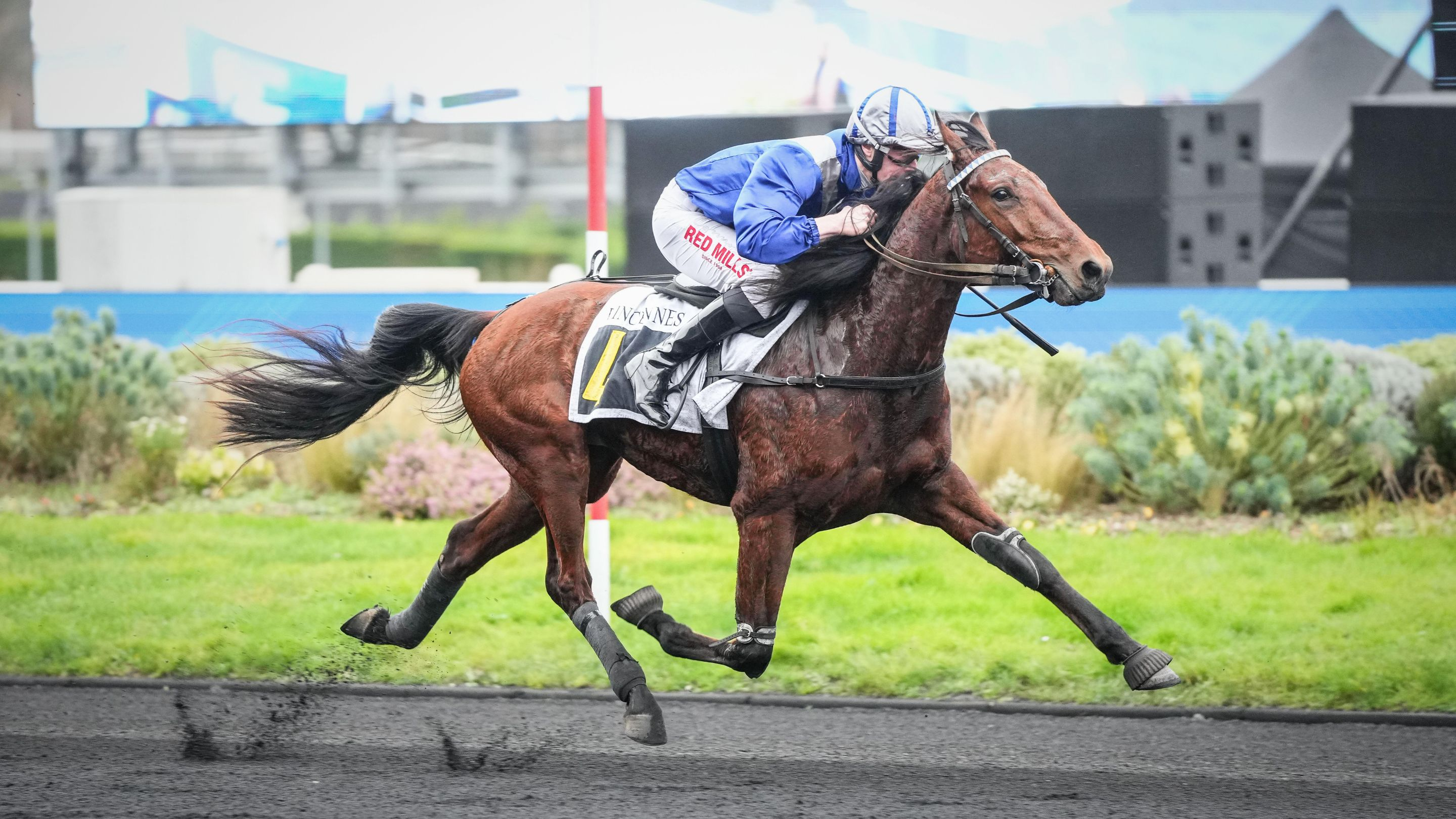 Nickel de Baille - © Aprh