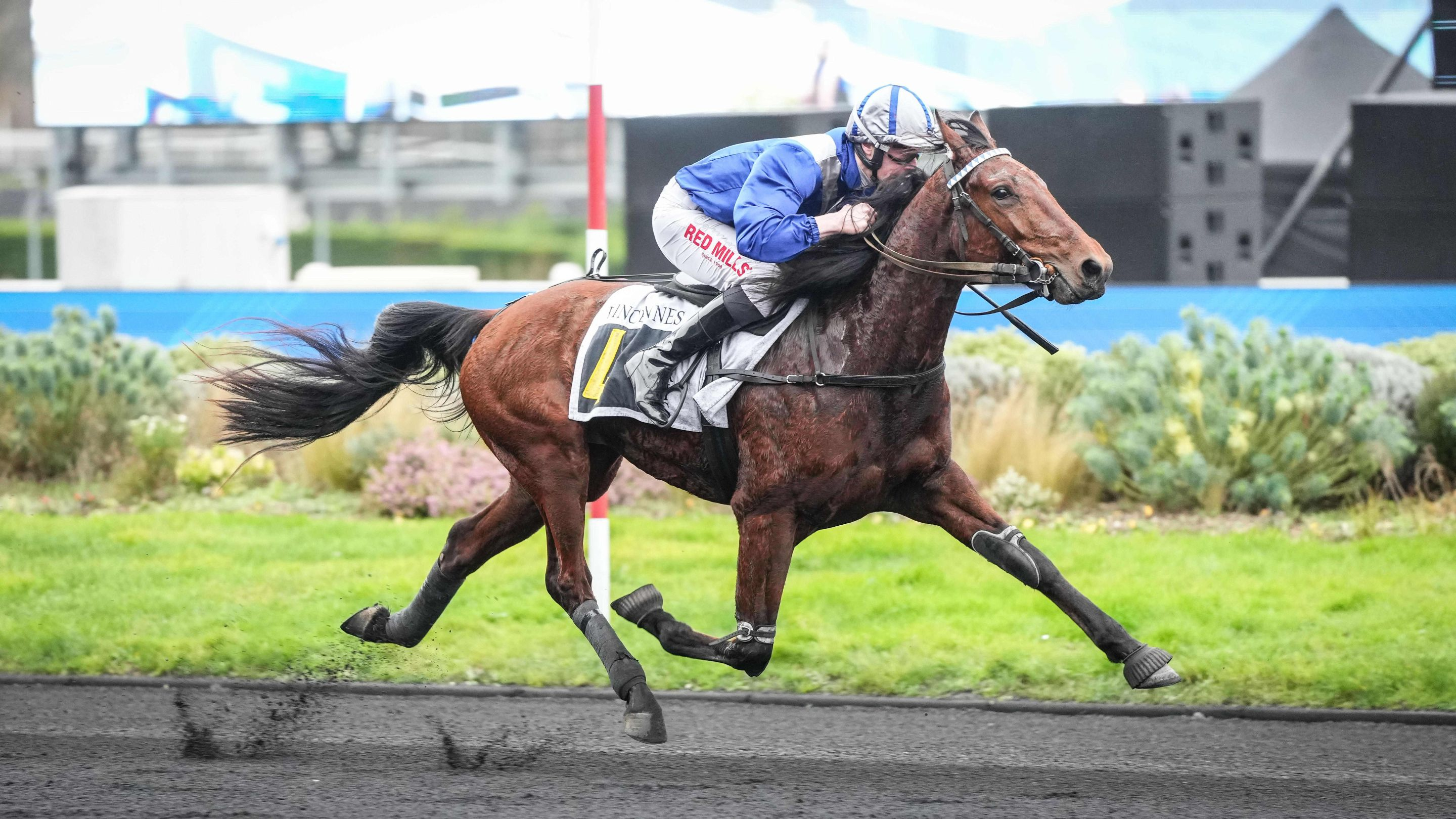 Nickel de Baillé - © ScoopDyga