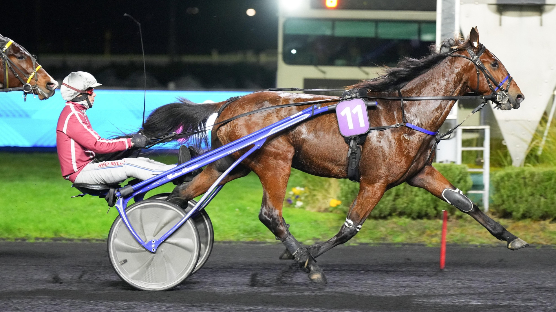 Nickname - © ScoopDyga