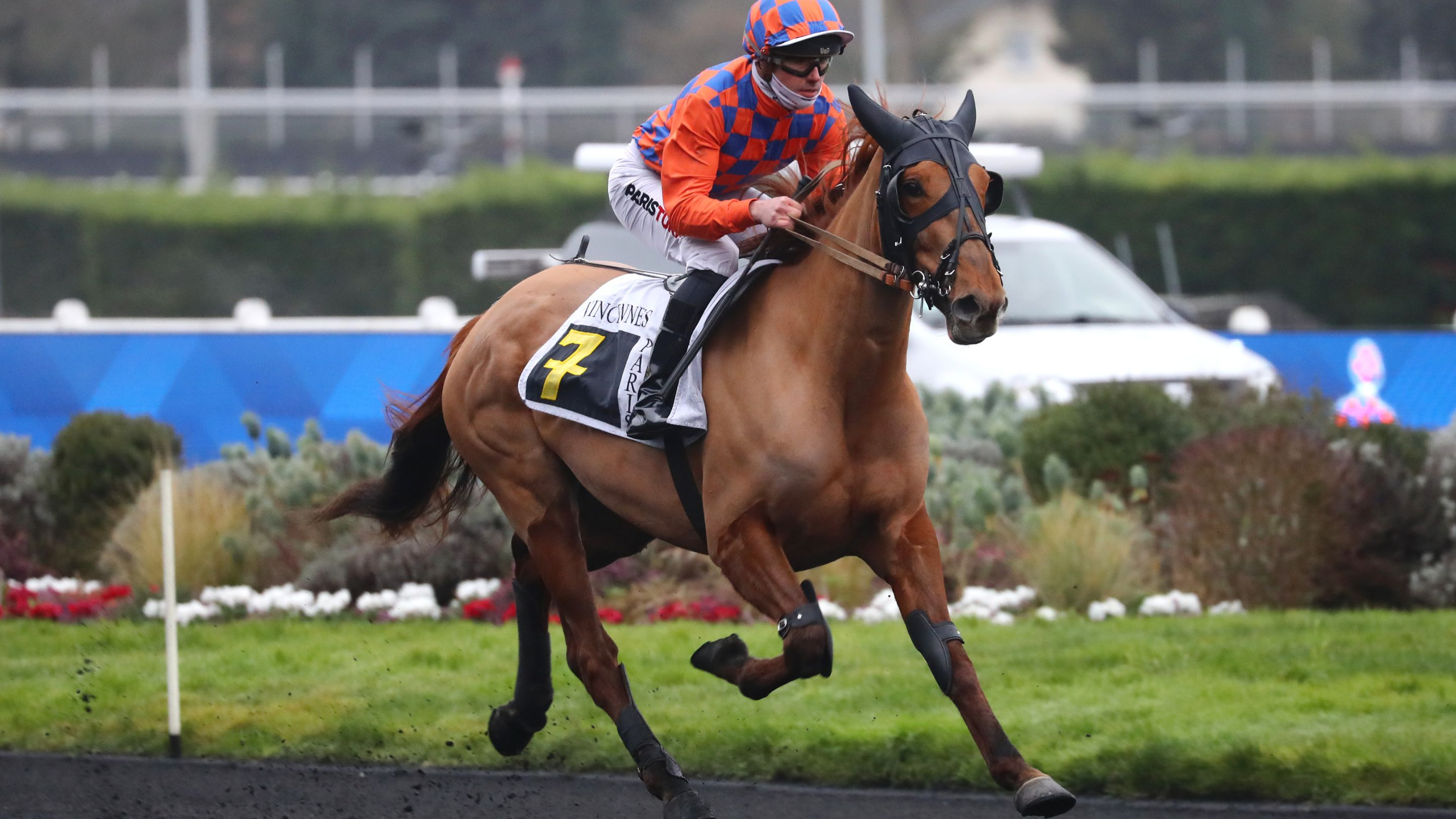 Nikita des Charmes - © Aprh