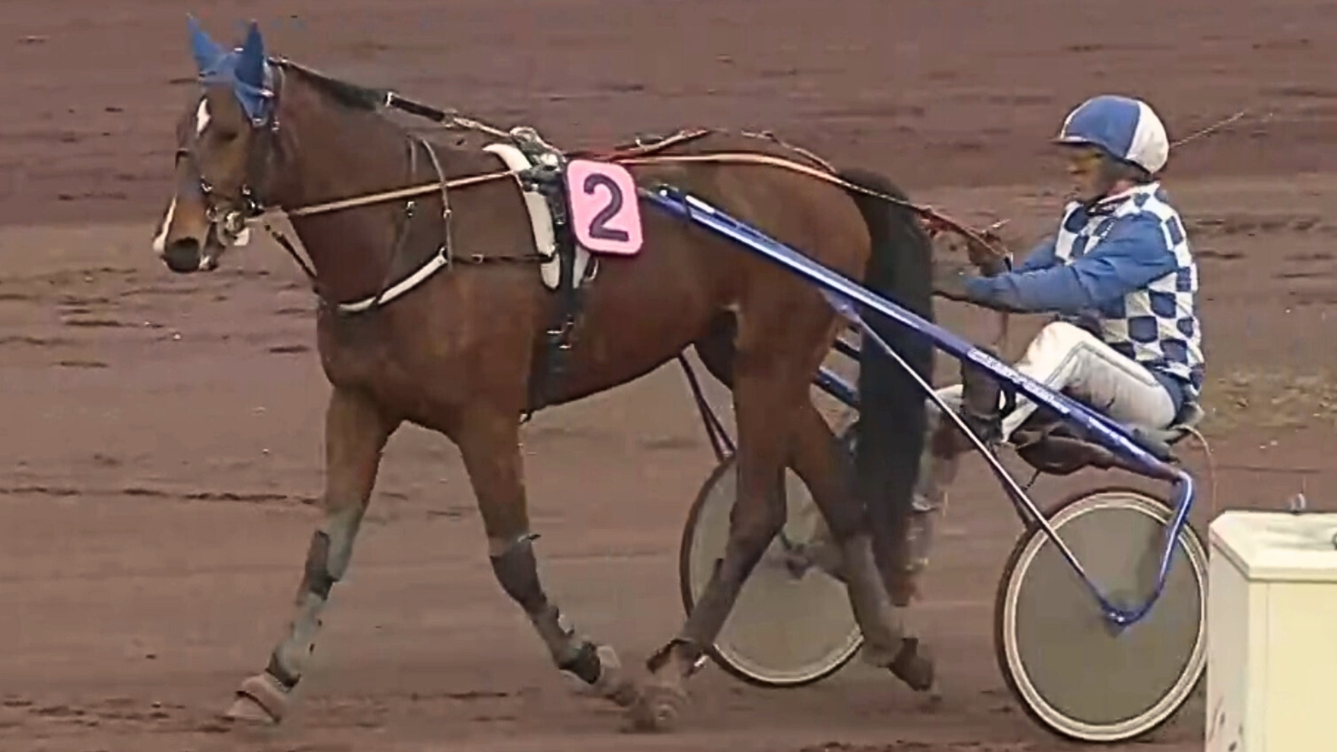 Nikko de Joudes après son succès lyonnais du jour - © Equidia