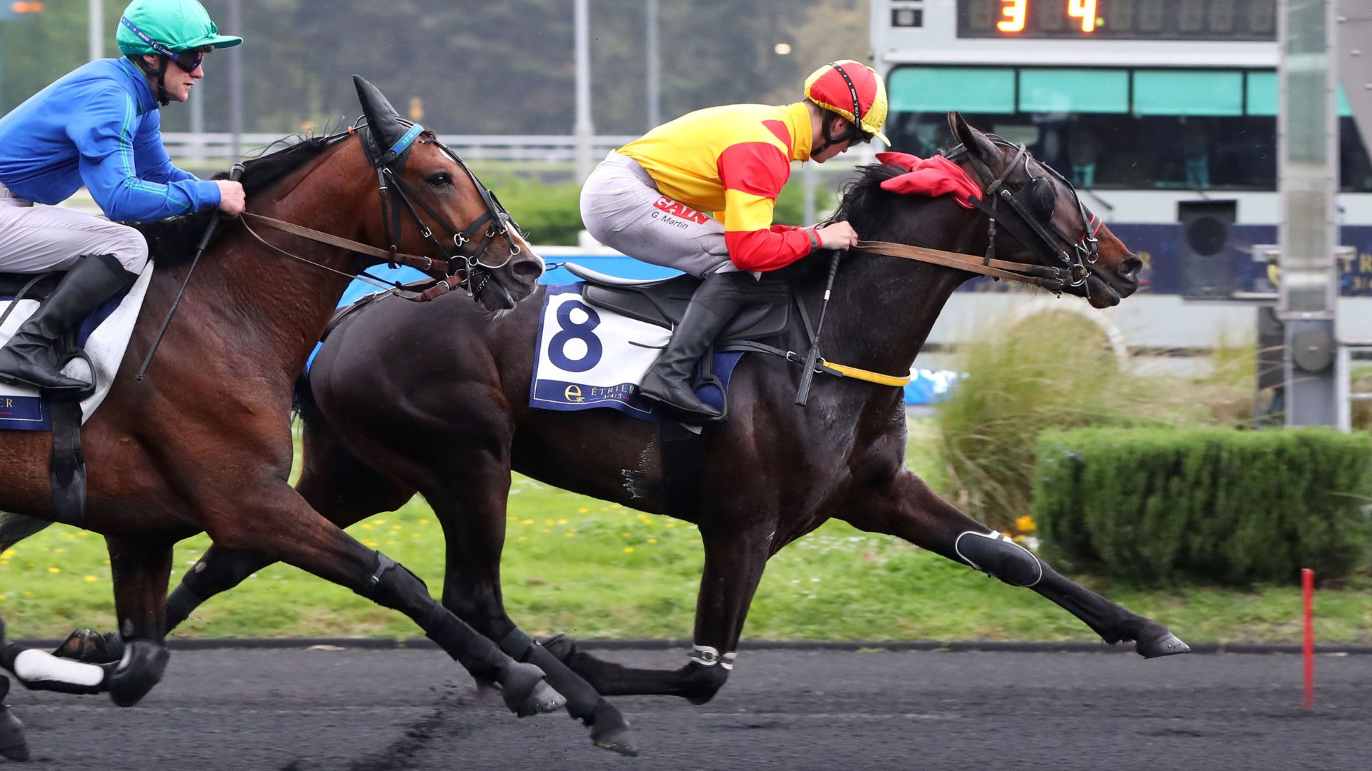 Ninja de l'Envol résiste à Newton des Andiers - © Aprh