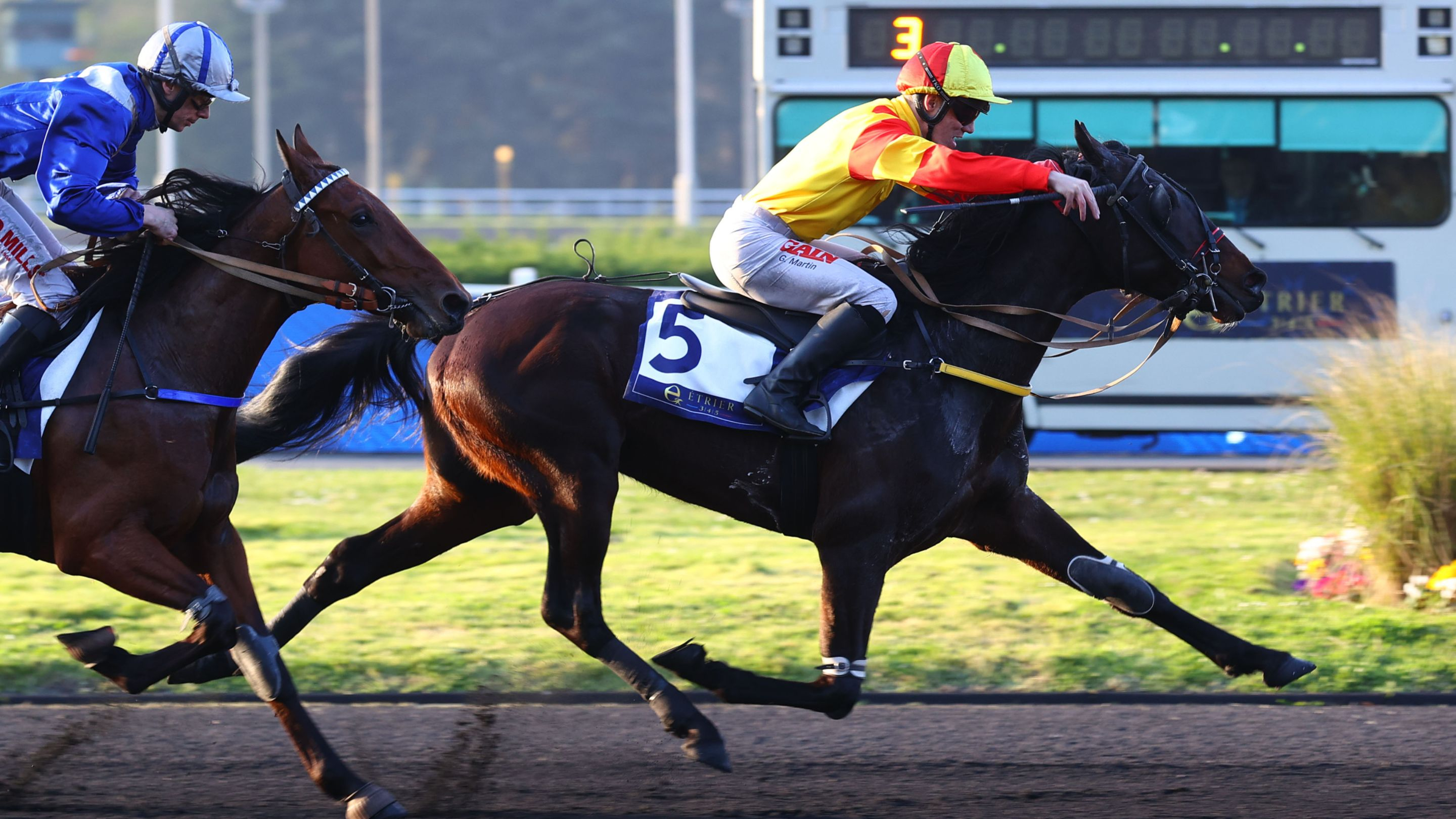 Ninja de l'Envol devançant  Nickel de Baille - © Aprh