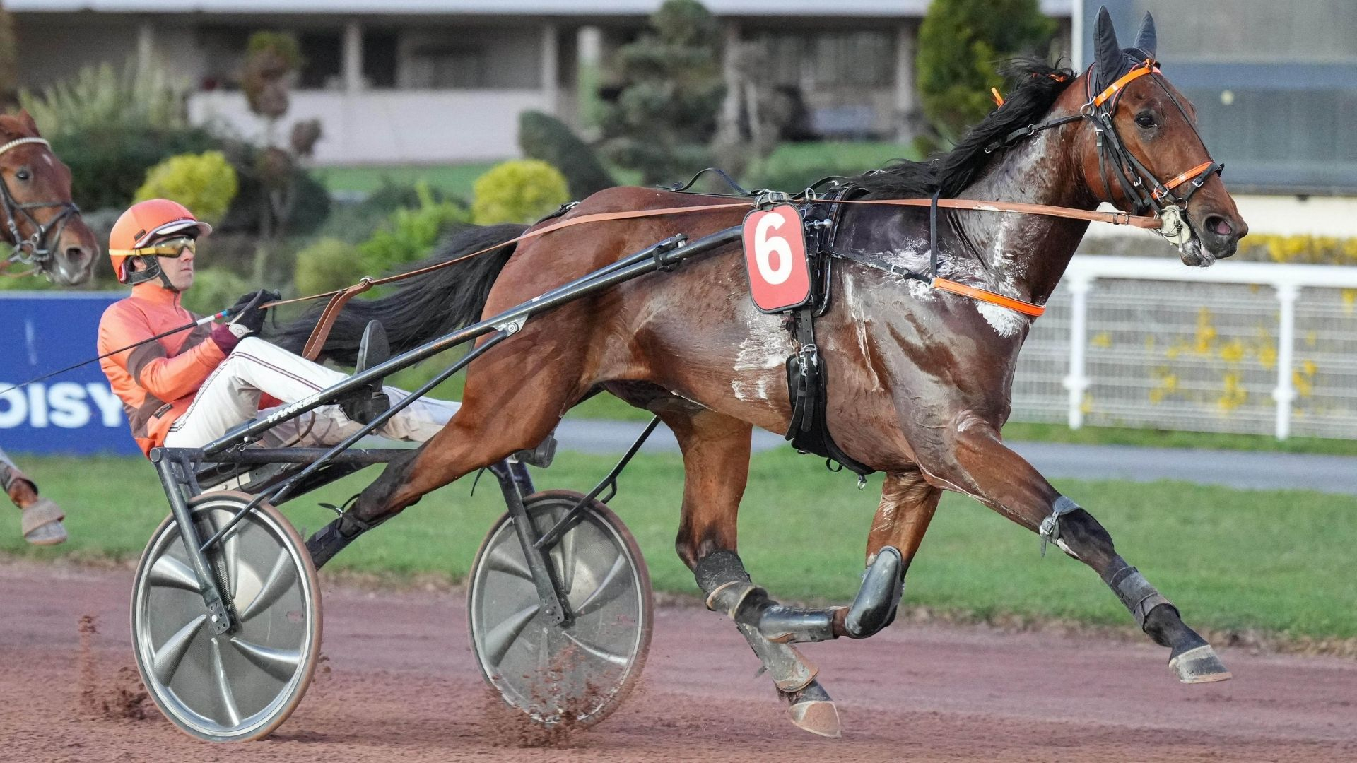 Nino du Choquel