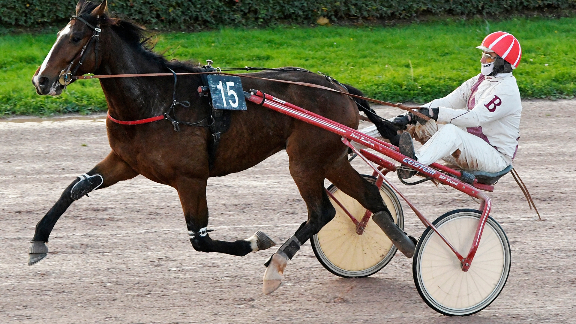 Niosco Red lors de sa qualification à Caen  - ©Mark Kendell