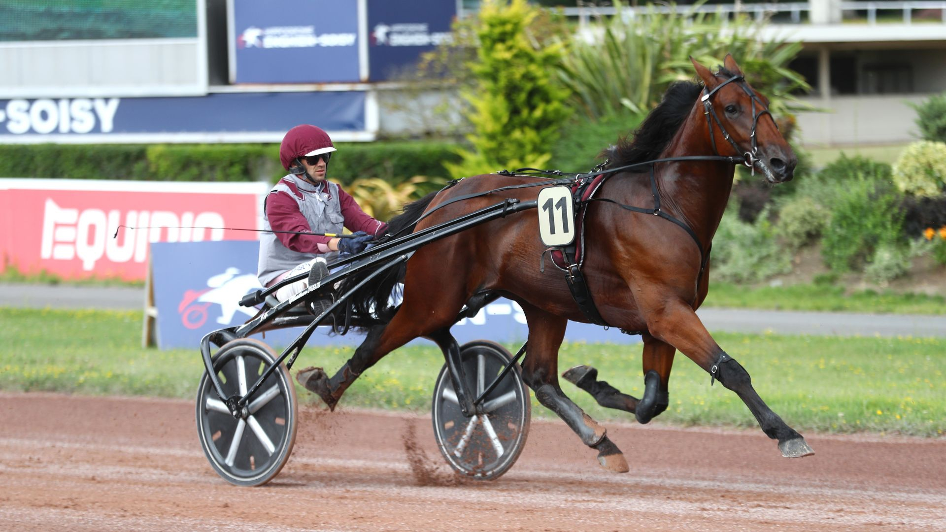 Nitesco de Simm - ©Aprh