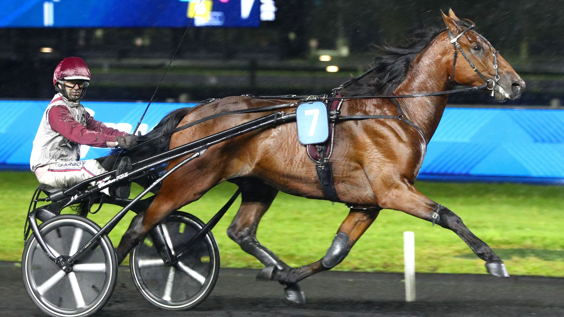 Nitesco de Simm s'est imposé à Vincennes en septembre - © Aprh