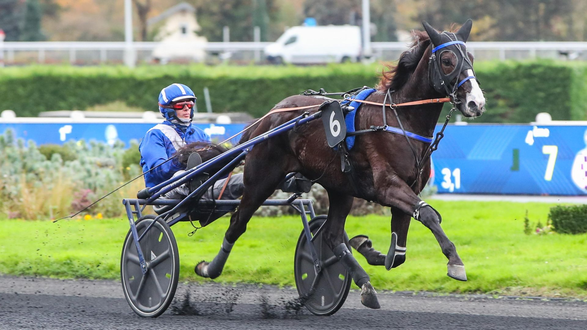 Nob Hill - ©Scoopdyga