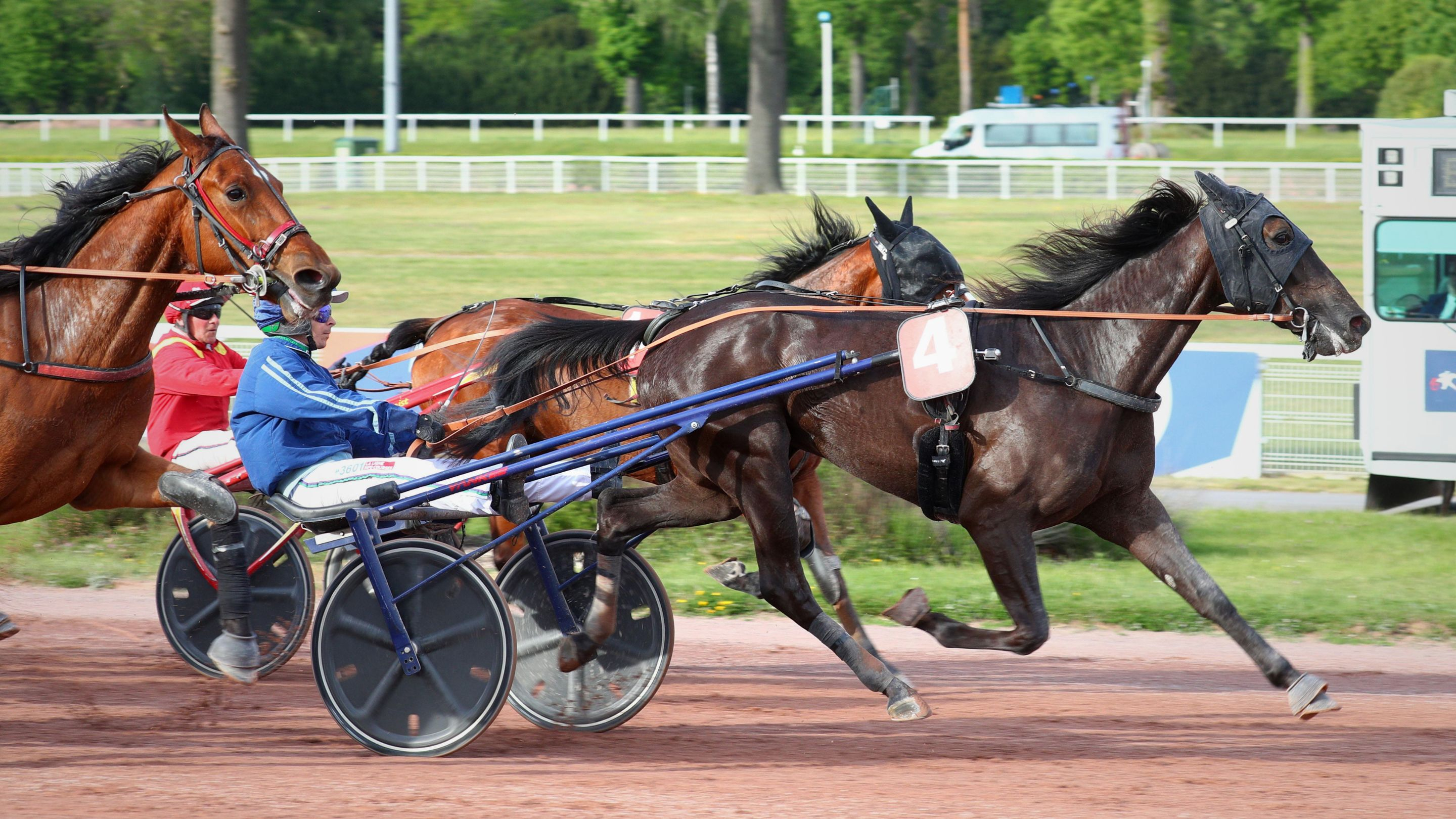 Noblesse - © ScoopDyga