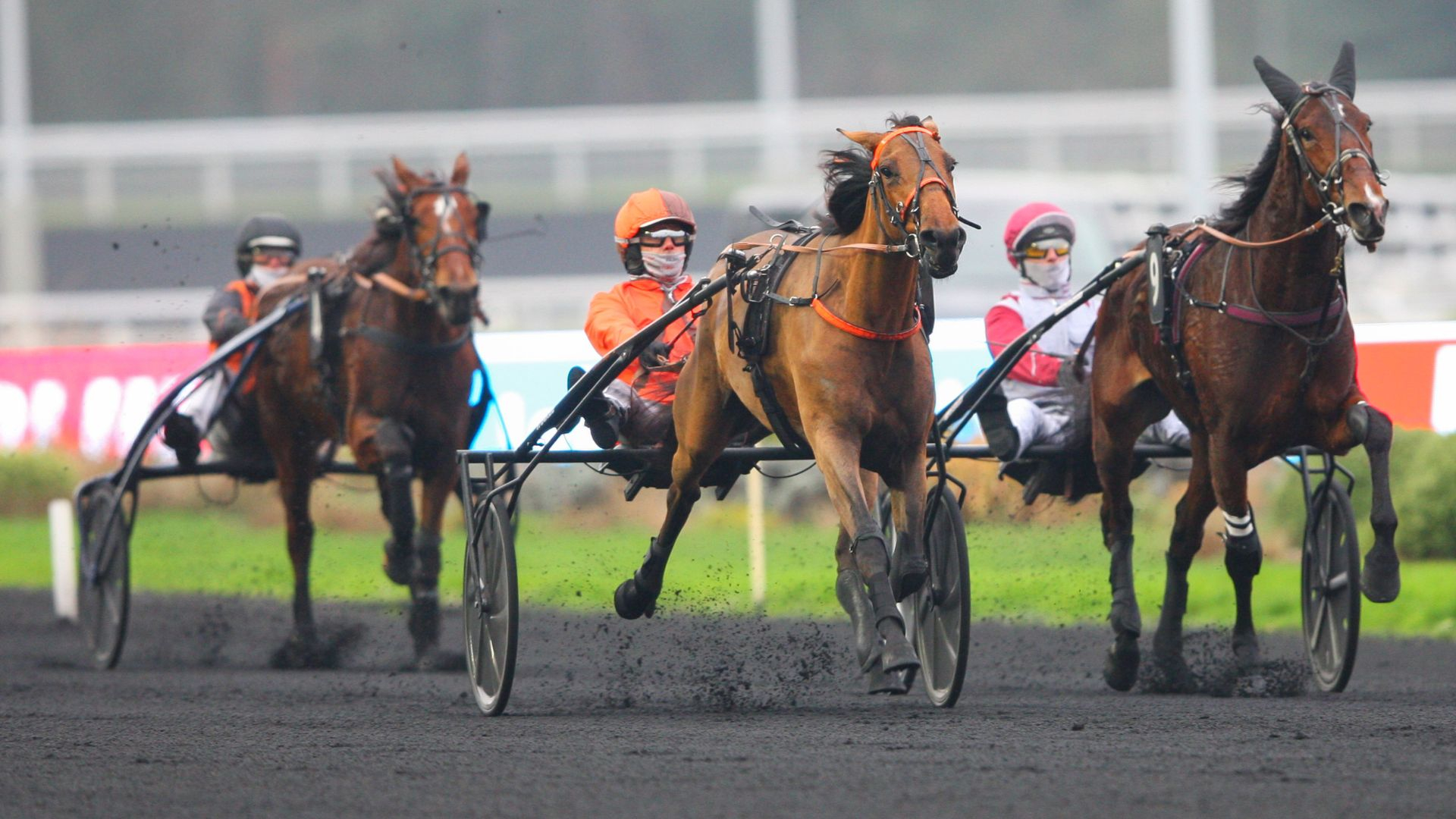 Nocive du Choquel - ©Aprh