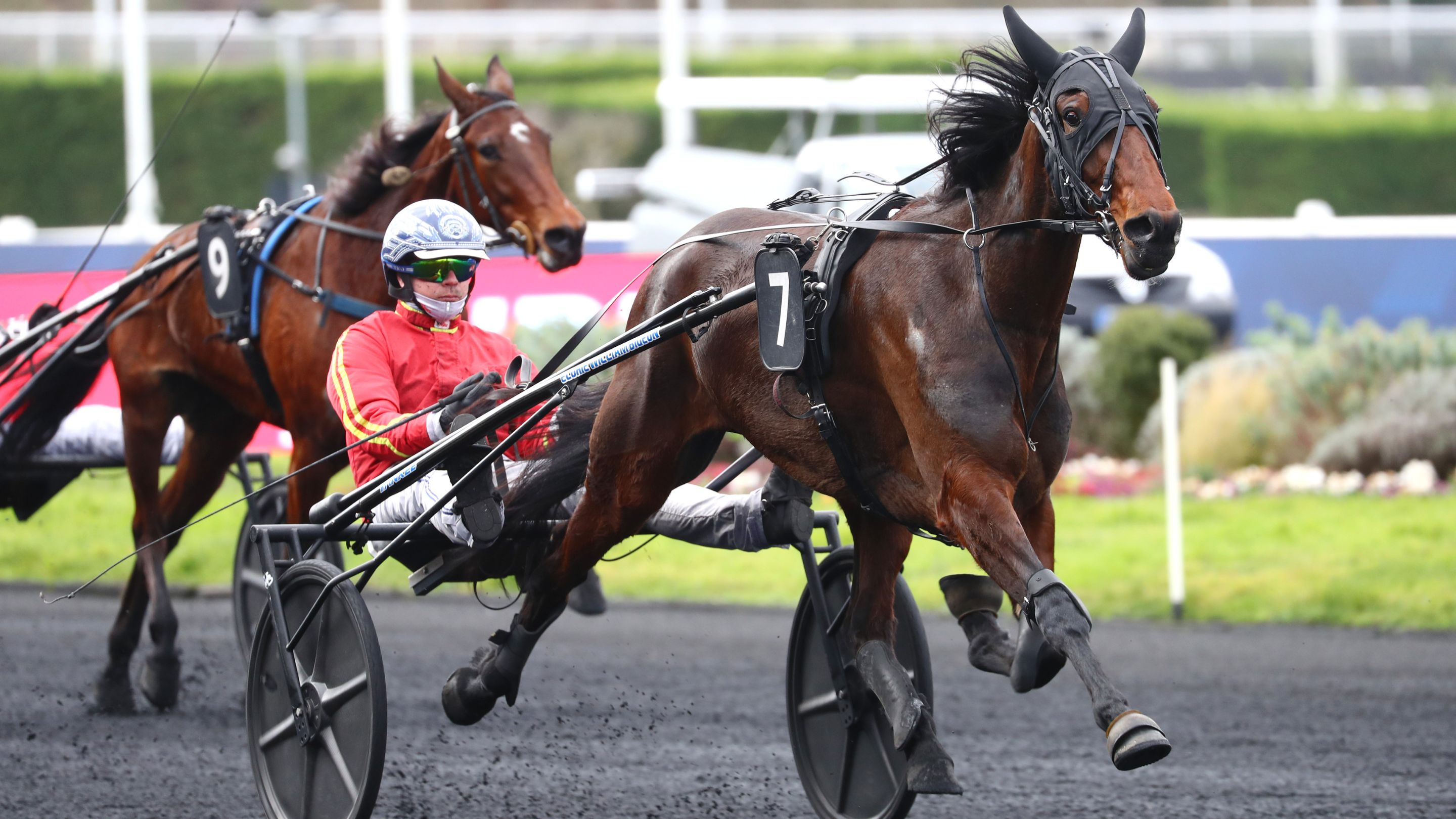 Noire Intense - © Aprh