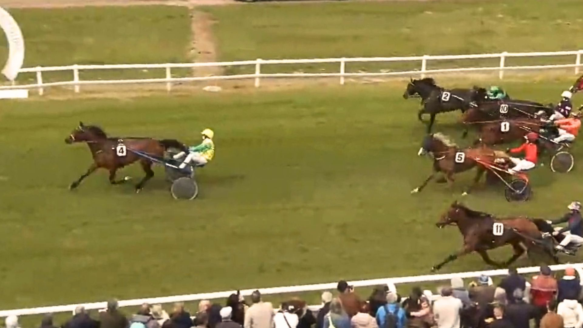 Les parfaits débuts victorieux de No More Abrigio à Tours - © Equidia