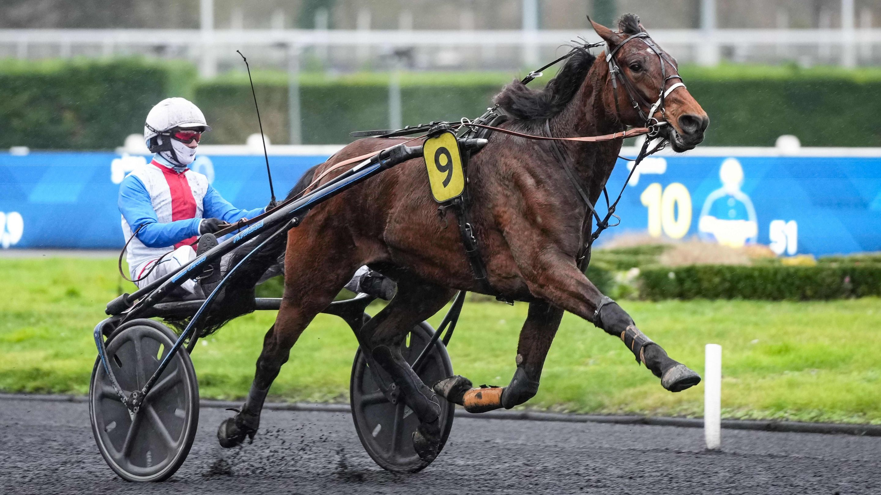 Noor du Campus ouvre son palmarès - © ScoopDyga