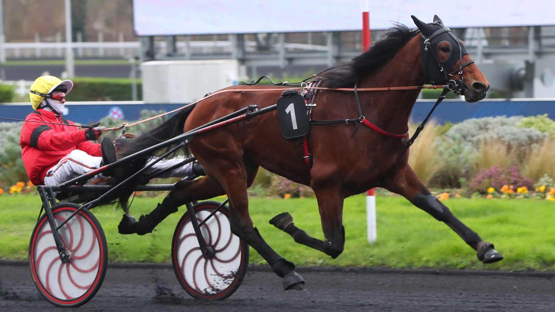 Les grandes et belles allures de Notable - © Aprh