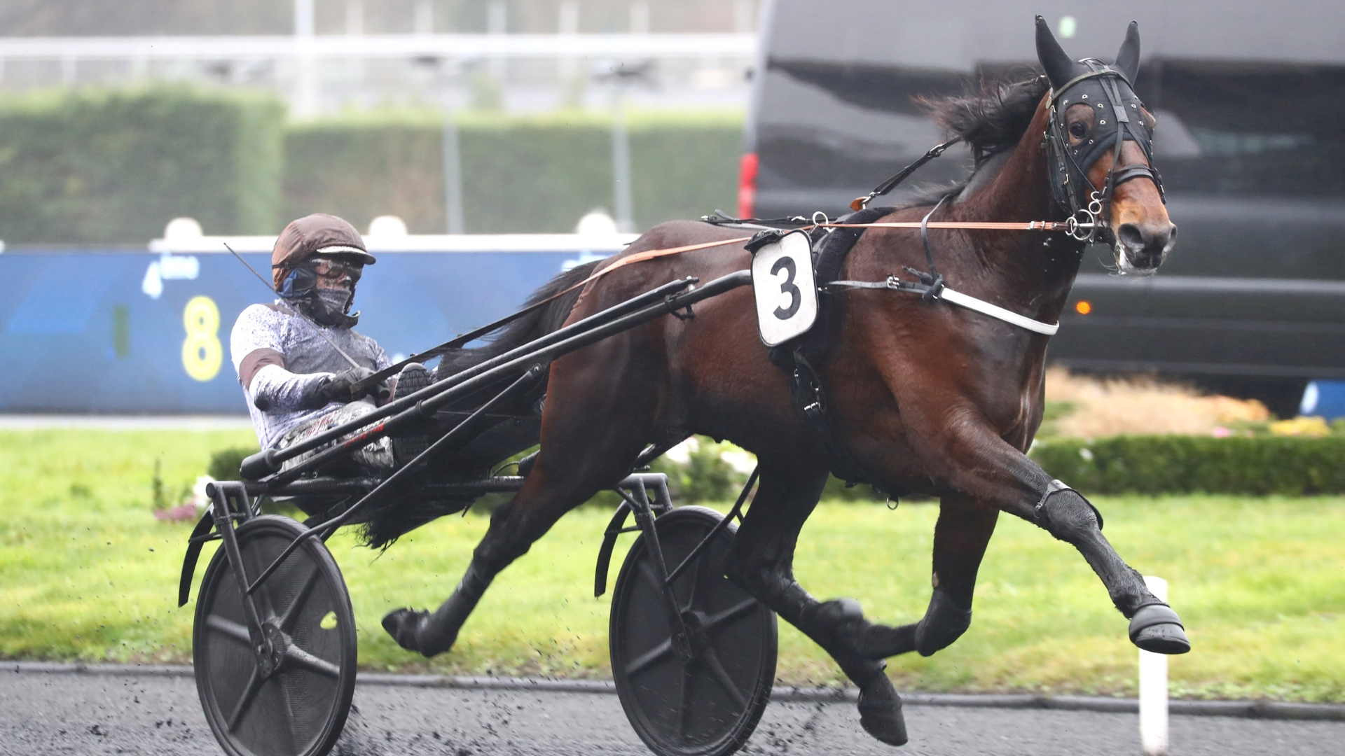 Not This Time, un fils de Ready Cash - © Aprh