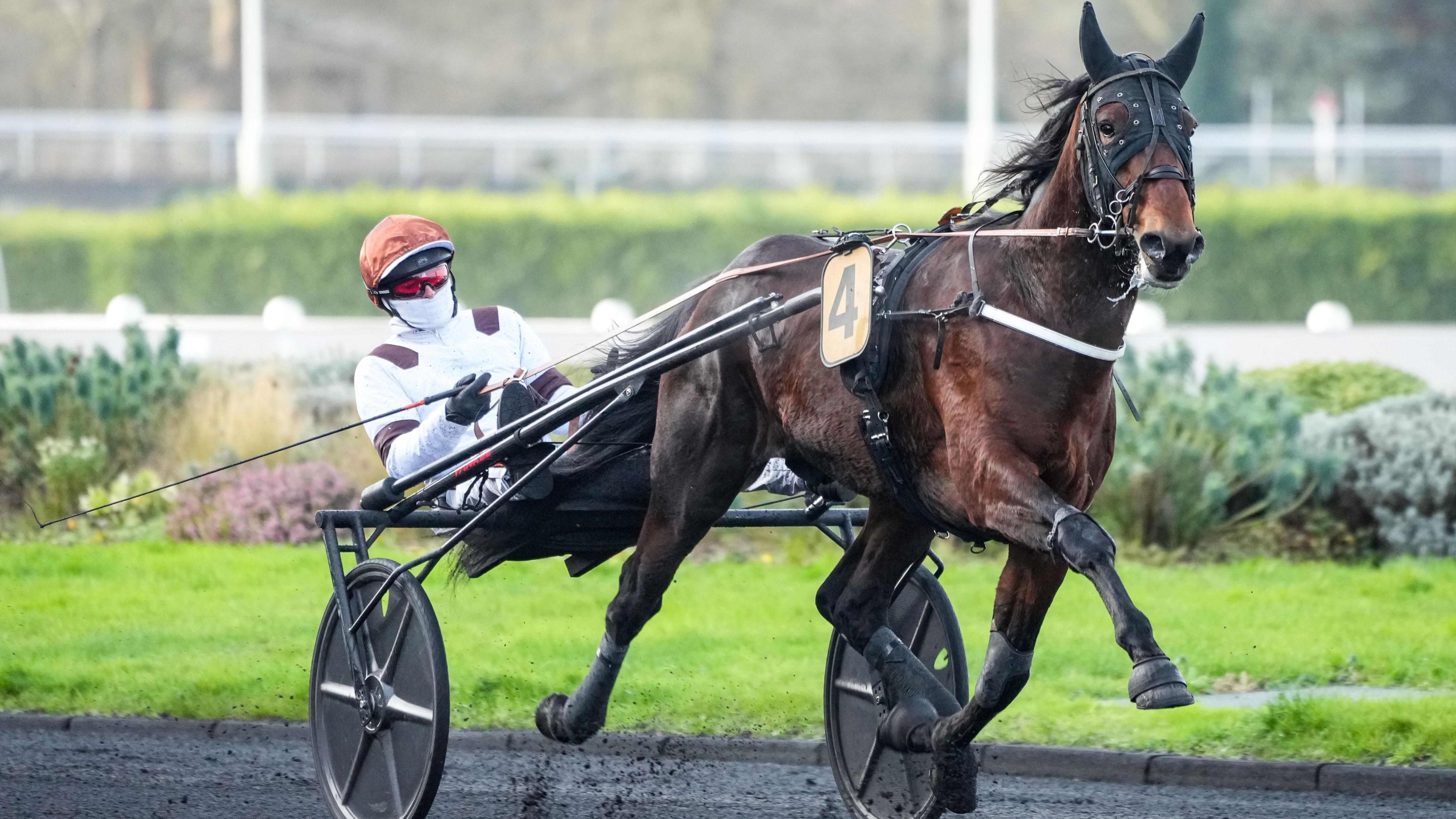 Not This Time lors de son dernier succès - © ScoopDyga