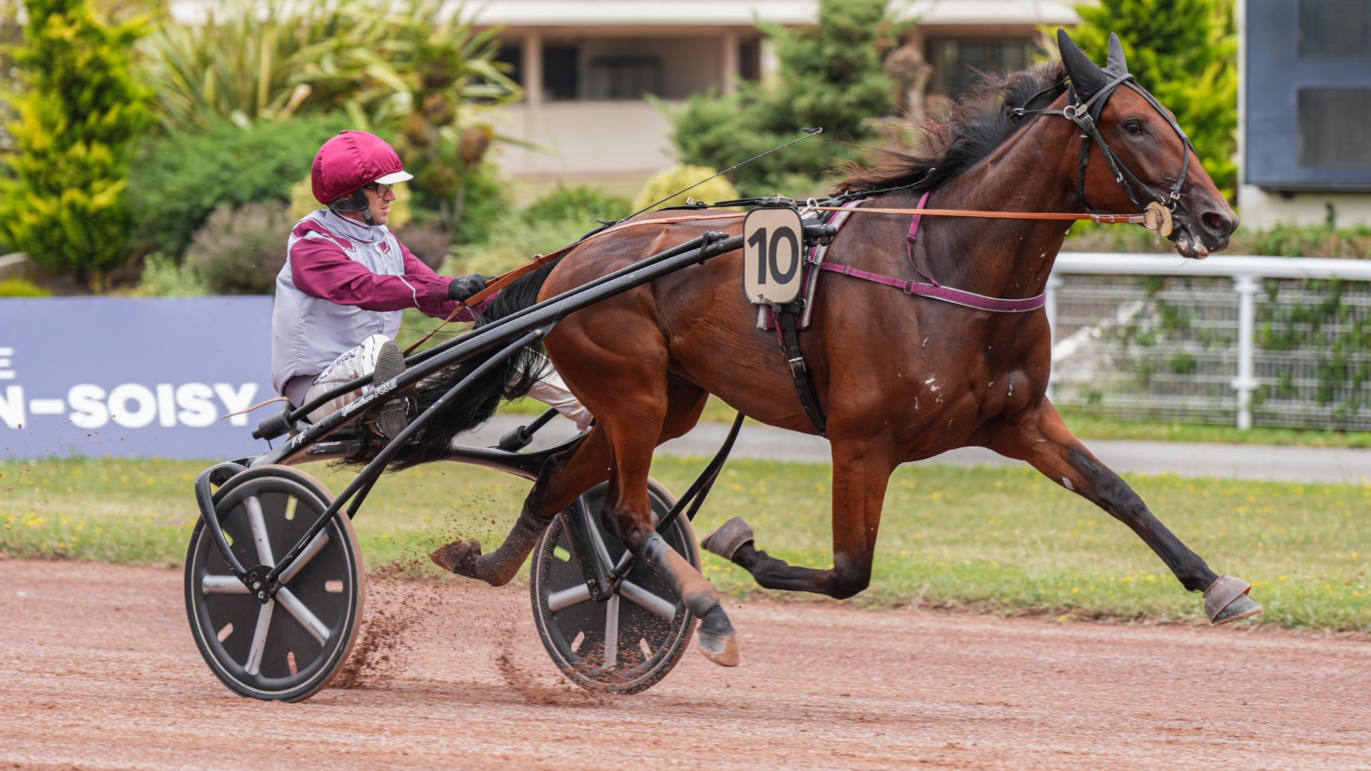 Nouba du Bas Bosq à Enghien - ©Scoopdyga