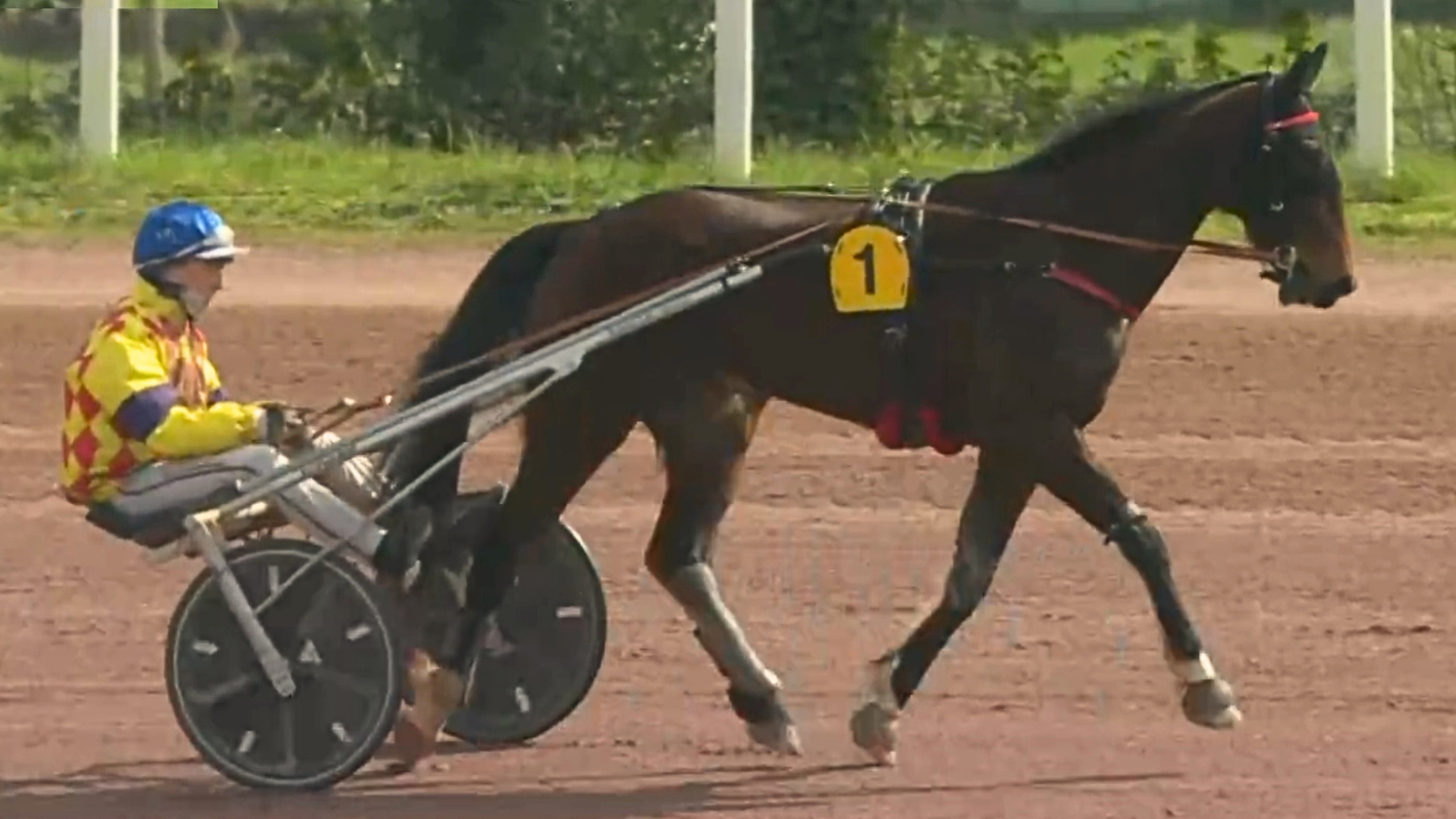 Nouquiléo après son succès du jour - © Equidia