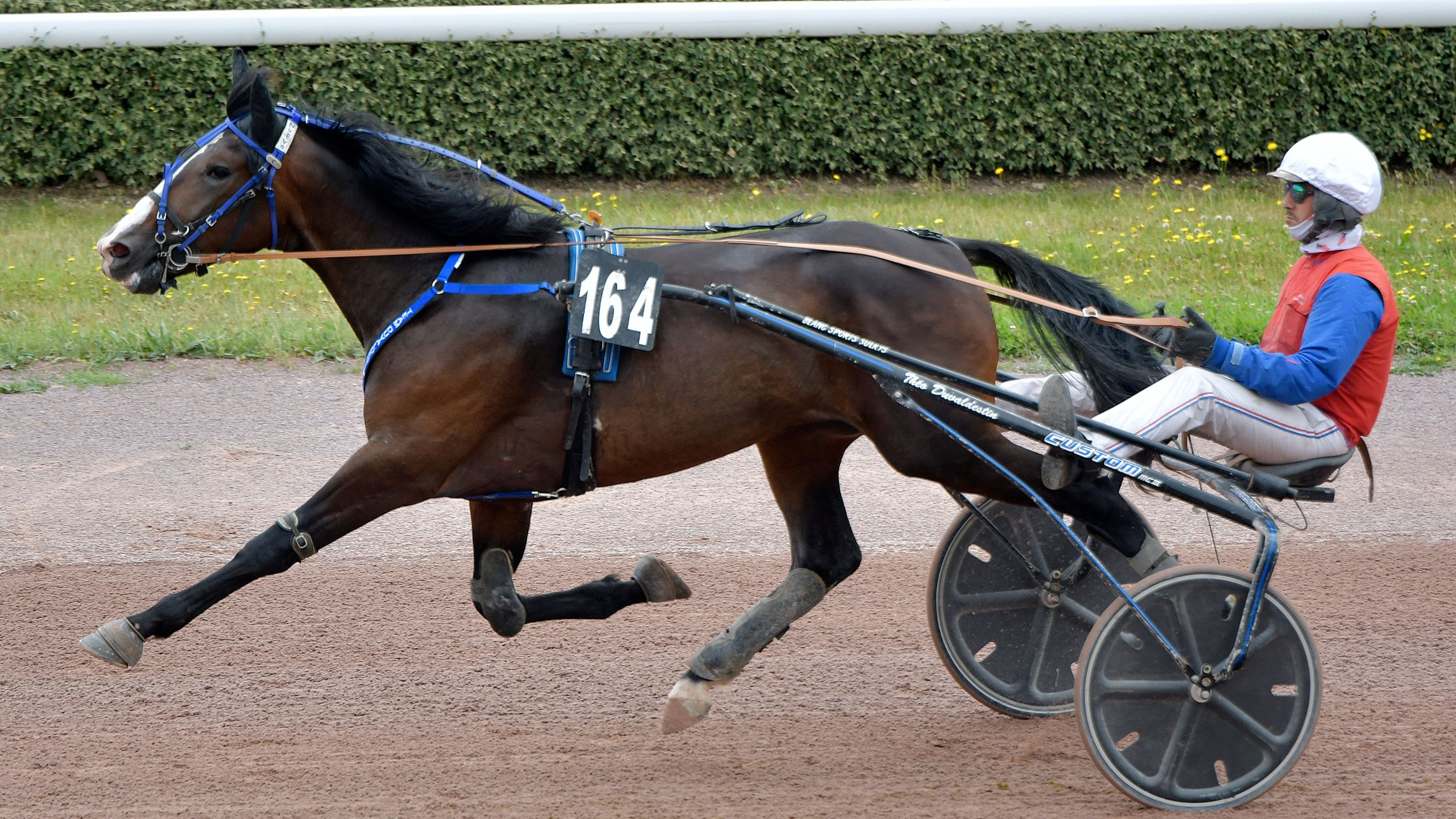 Nuevo le jour de sa qualification à Caen - © M. Kentell