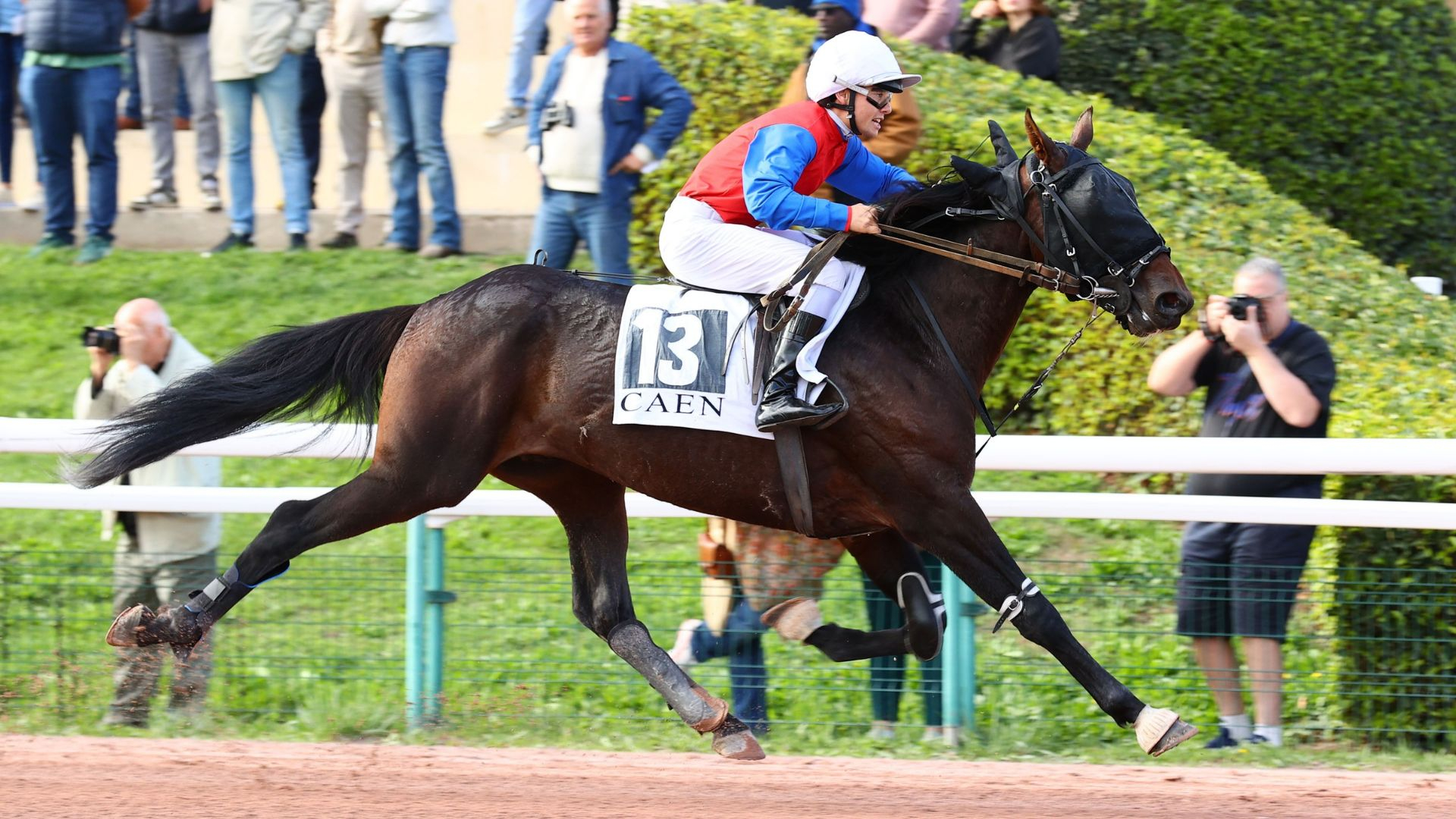 Nuevo Cash, le lauréat du Saint-Léger des Trotteurs - © ScoopDyga
