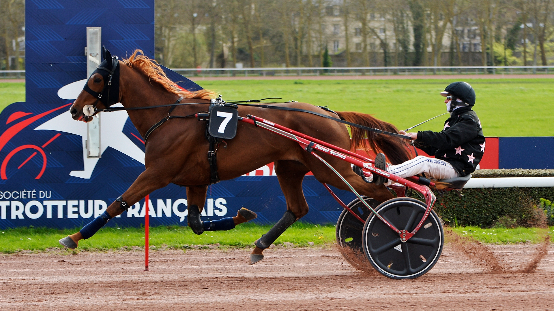 Number One Gagou lors de ses débuts victorieux - © M. Kentell/archives