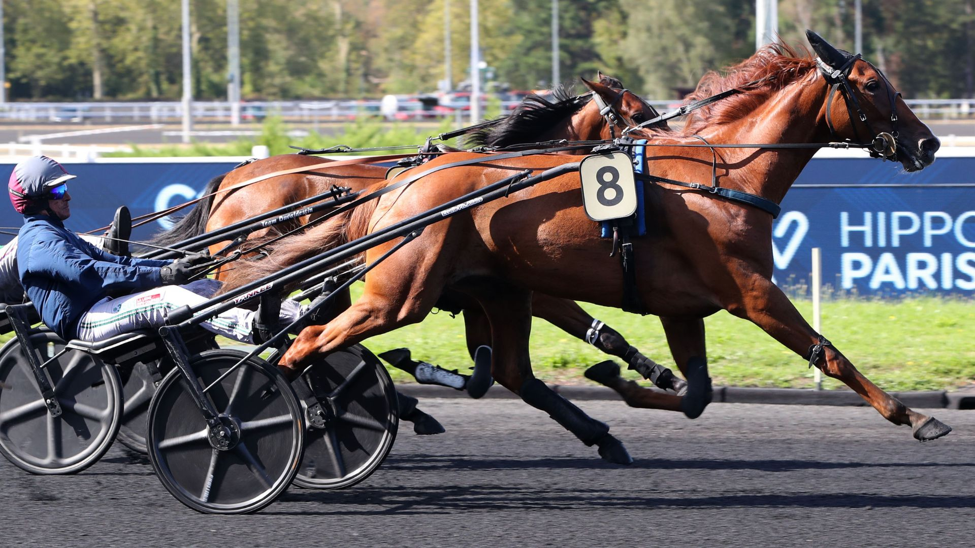 L'invaincue Oldham sera au départ du Prix Marcel Dejean - © Aprh