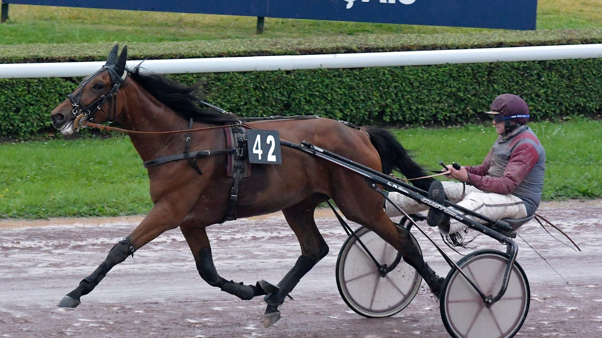 Olympic Joy, reçue en 1'17''2 - ©Aprh