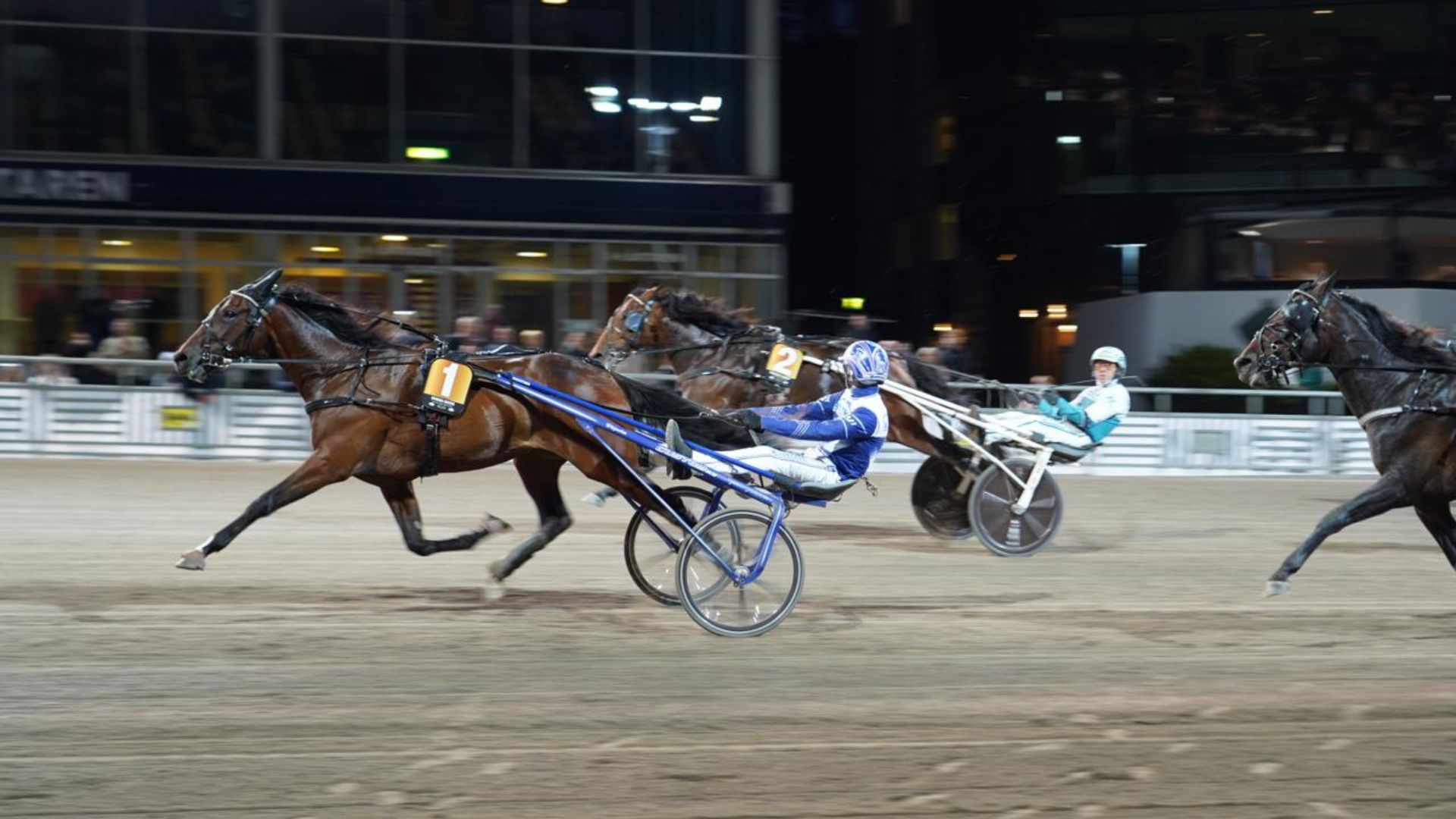 Omega River, petit-fils de Ready Cash par sa mère, vainqueur du Kriterium 2025 - ©Provin