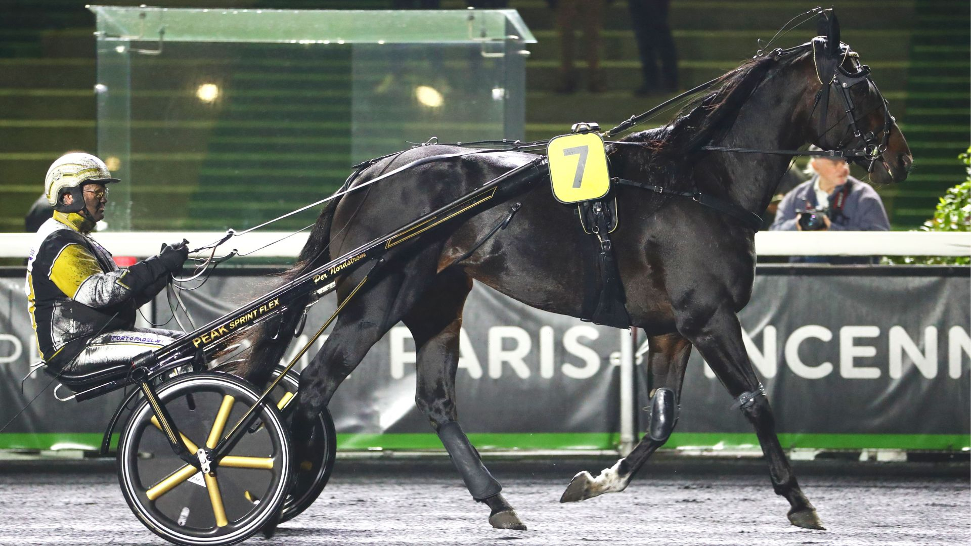 Önas Prince à Vincennes - © ScoopDyga