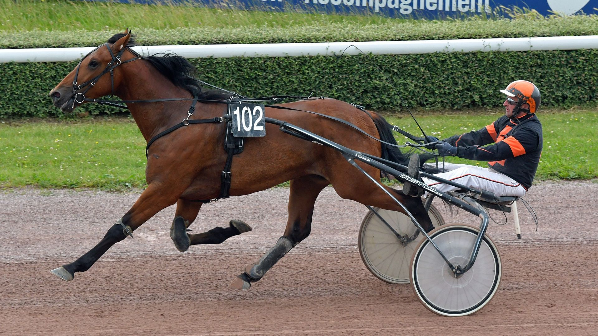 One Way To Win le jour de sa qualification à Caen - © M. Kentell/PC