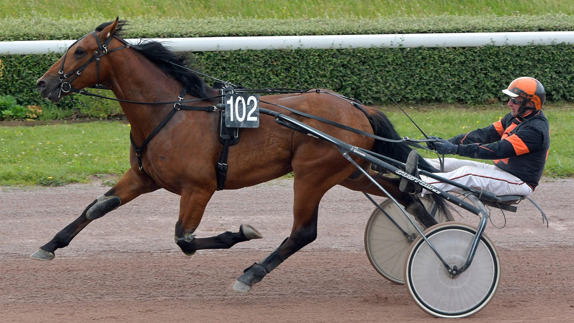 One Way To Win - ©ProvinceCourses