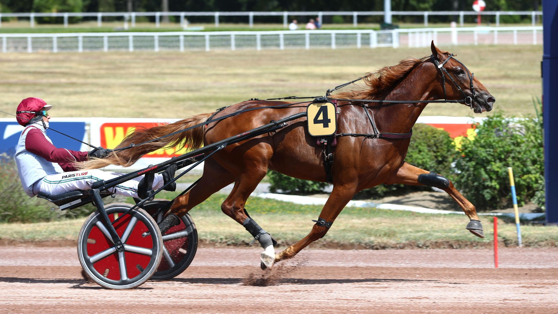 Onyx d'Avril au départ du Prix Hékate mardi à Vincennes - © ScoopDyga
