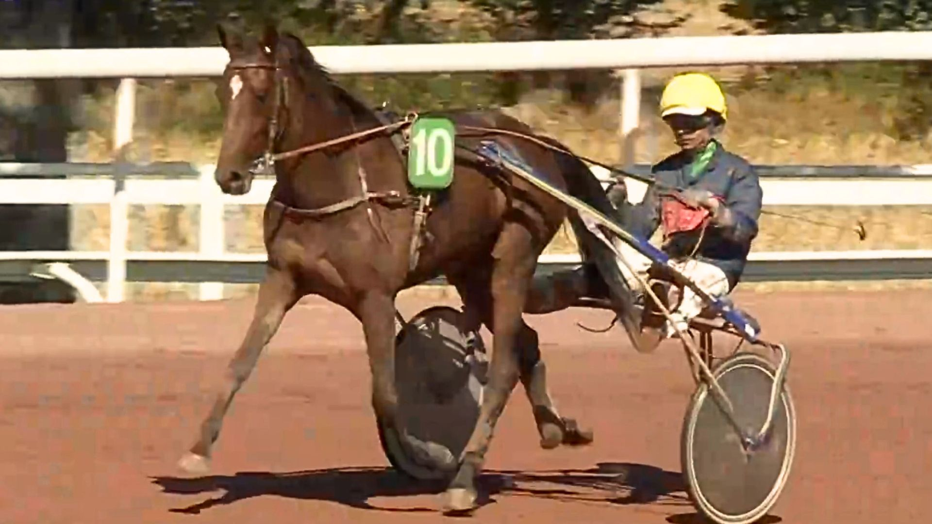 Optimistic Two après sa victoire - © Equidia