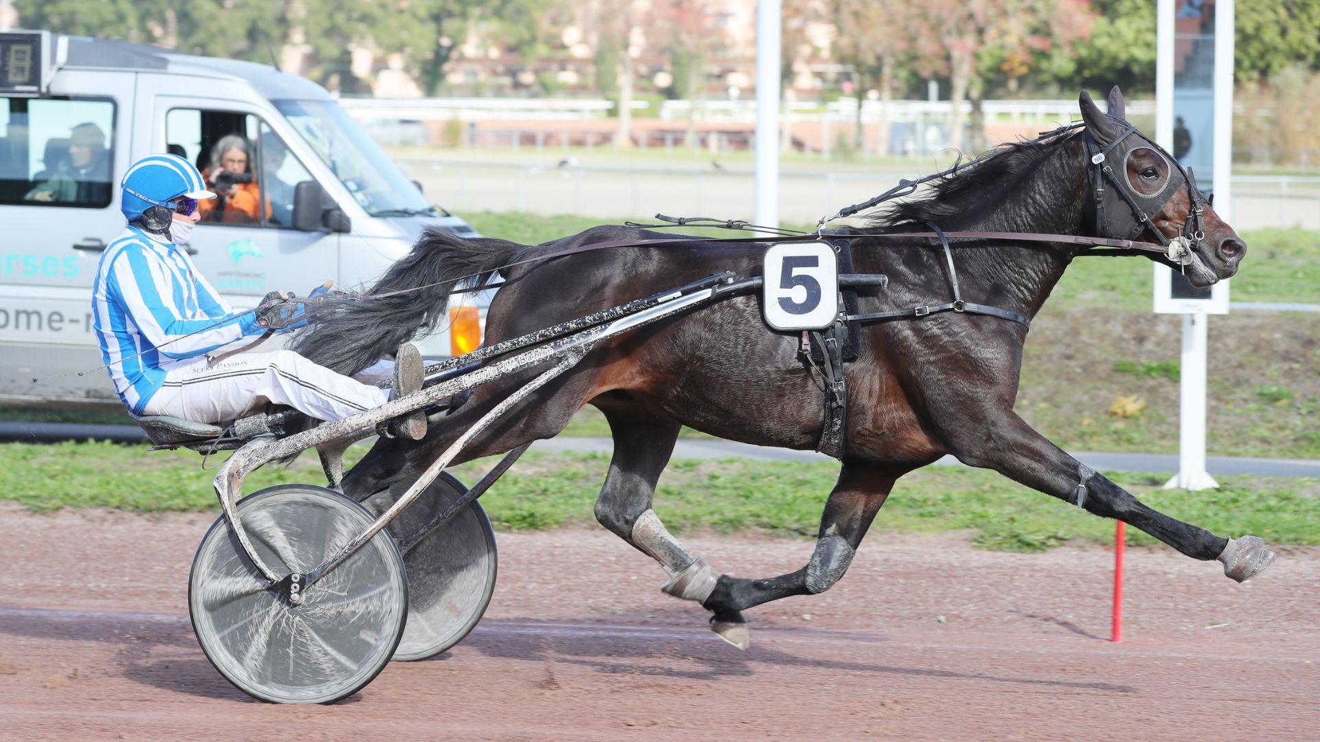 Oscar d'Ecajeul vainqueur en débutant à Nantes - ©&nbsp;J.-C. Briens