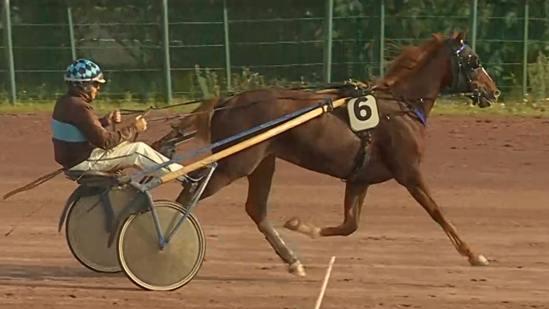 Othelo de la Londe après son succès du jour - © Equidia
