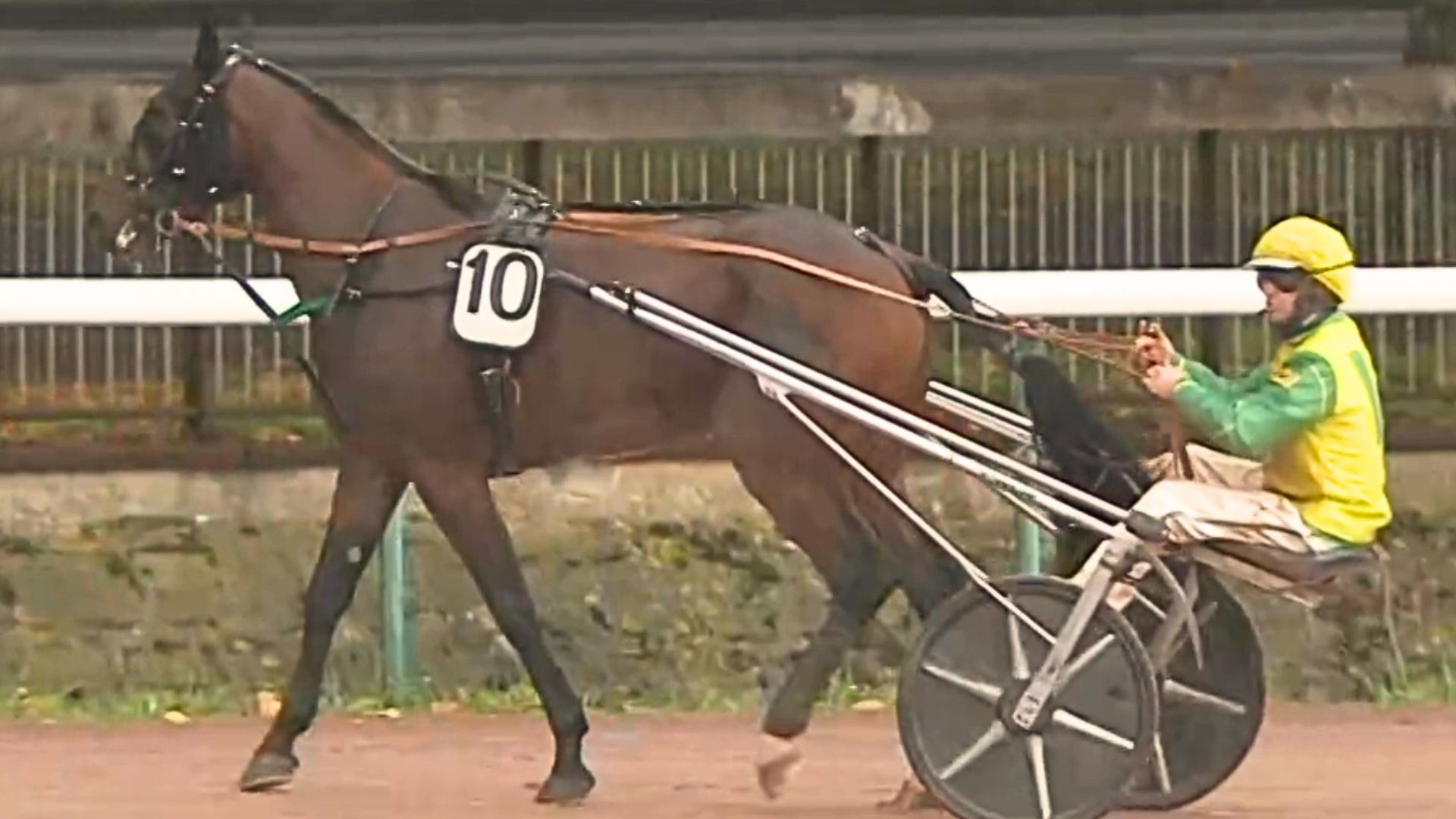 Ouragan de la Côte après son succès du jour - © Equidia