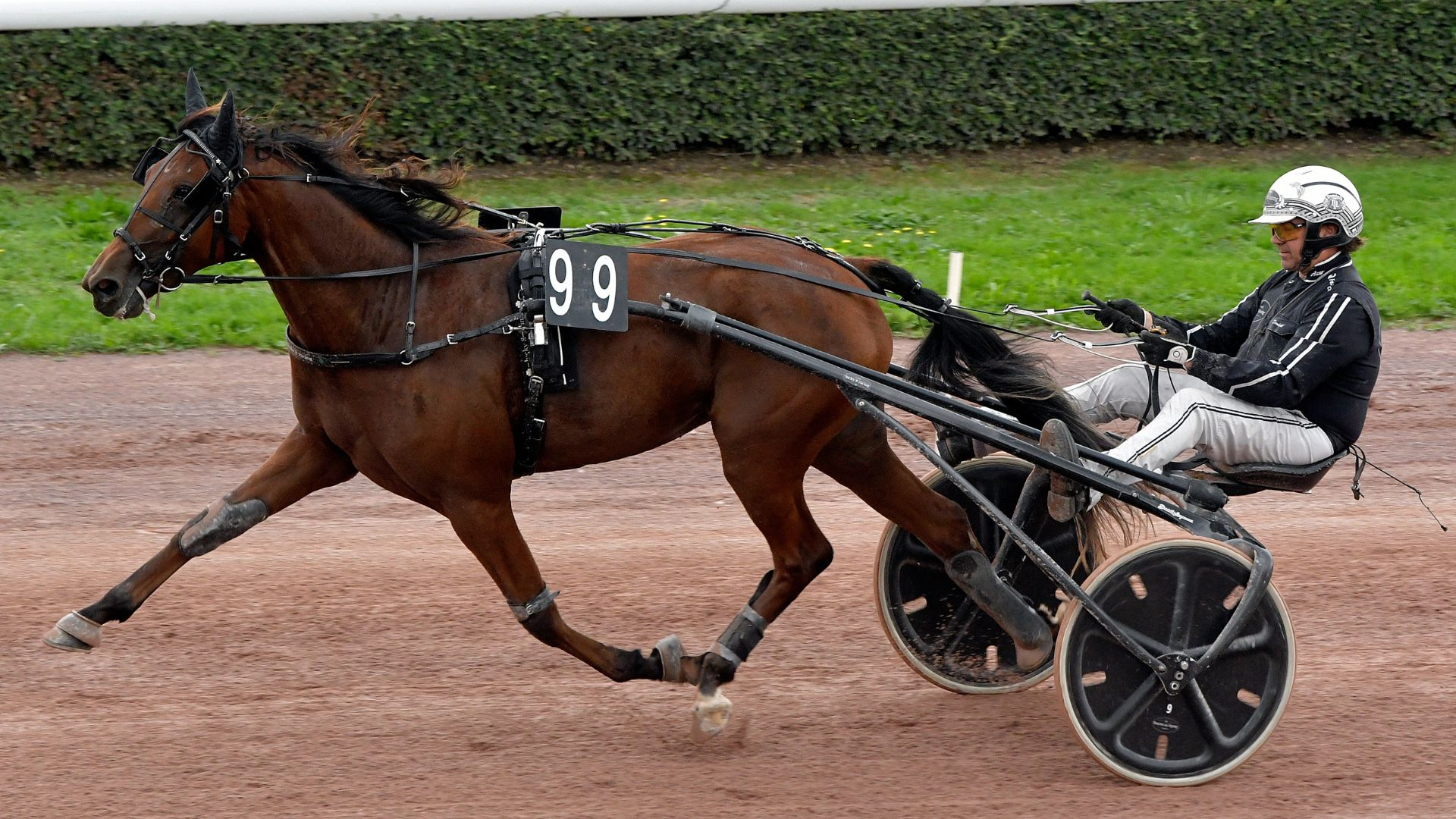 Out of Trouble lors de sa qualification - © Province Courses / Mark Kentell
