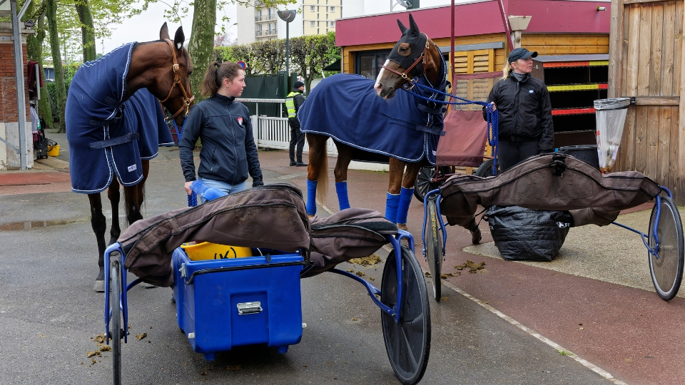 Dans les écuries - © JLL - SETF